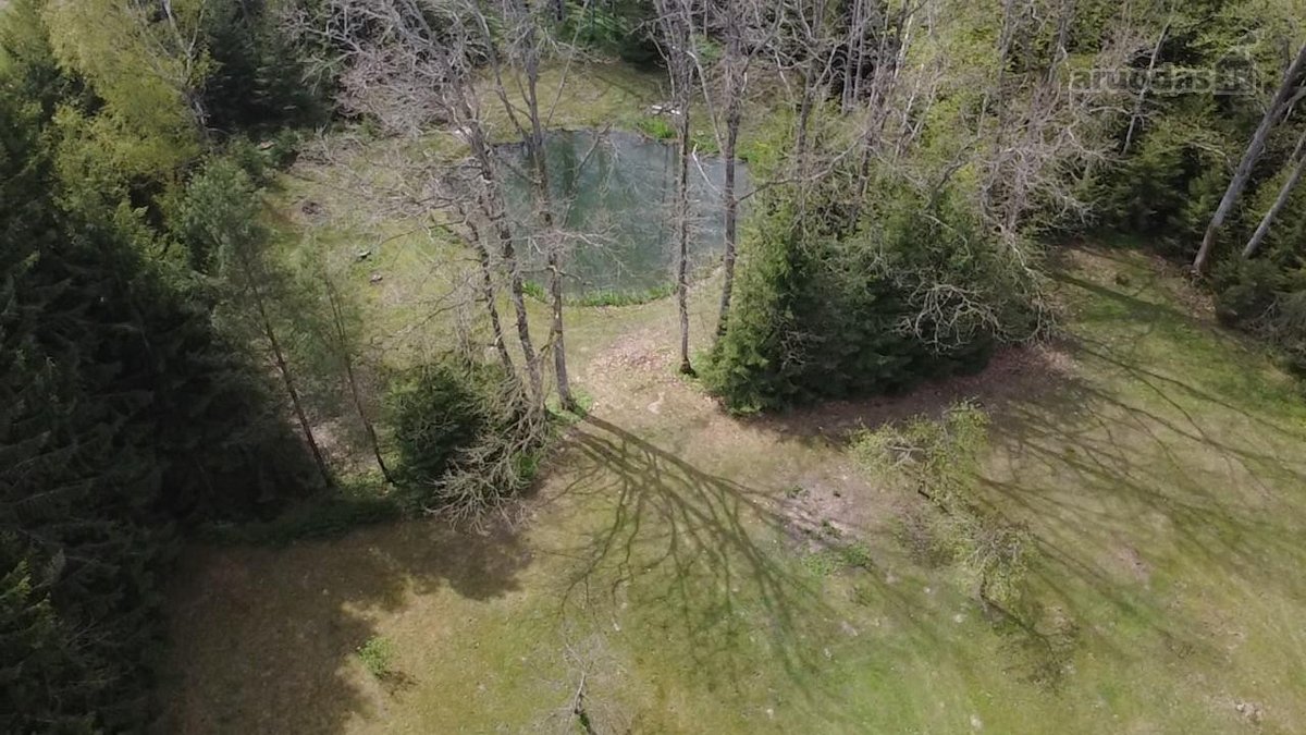 Parduodamas 1.32 ha sklypas, sudarytas iš: - nuotraukos Nr. 18