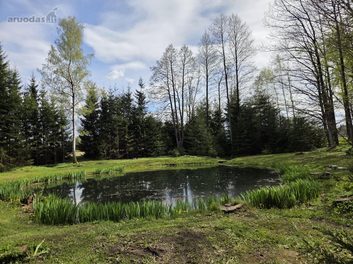 Parduodamas 1.32 ha sklypas, sudarytas iš: - nuotraukos Nr. 23