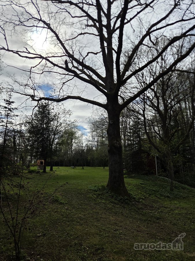 Parduodamas 1.32 ha sklypas, sudarytas iš: - nuotraukos Nr. 25