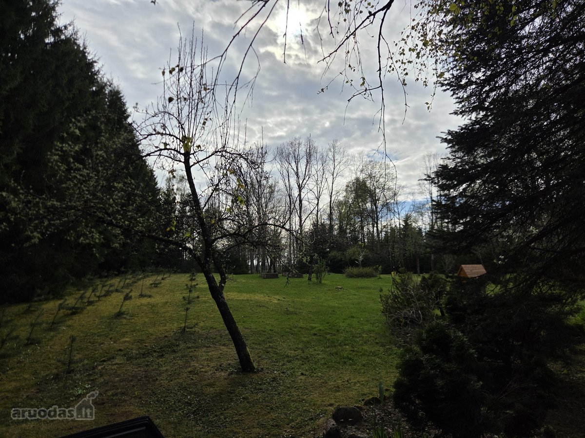 Parduodamas 1.32 ha sklypas, sudarytas iš: - nuotraukos Nr. 29