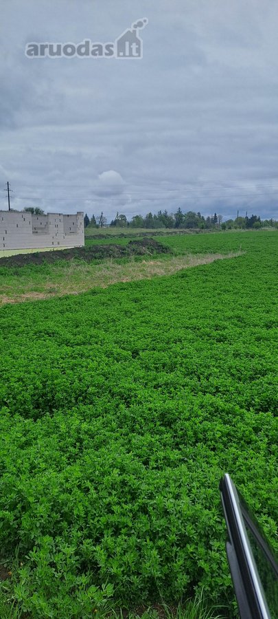 Parduodamas 0,5ha žemės ūkio paskirties