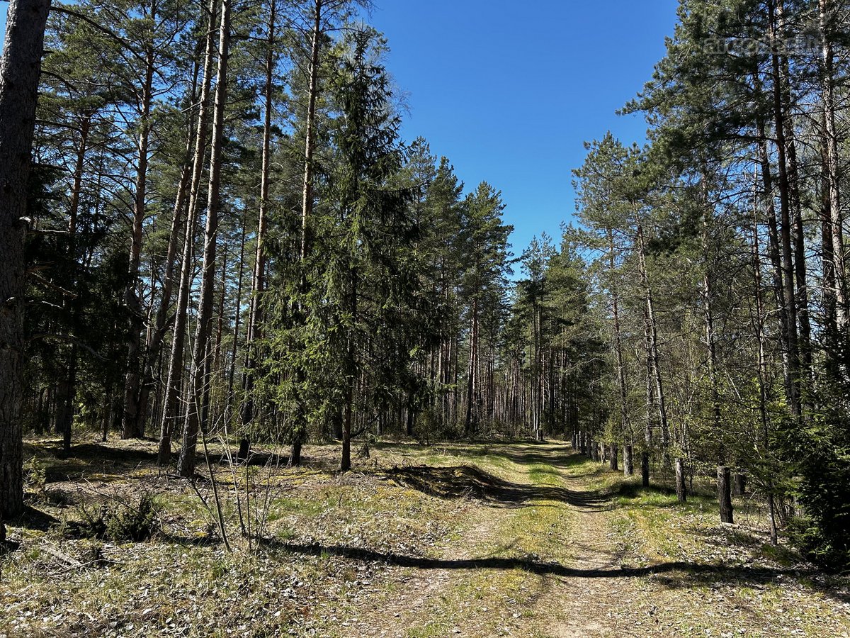 Parduodama Išskirtinė Sodyba Su Statybos - nuotraukos Nr. 29