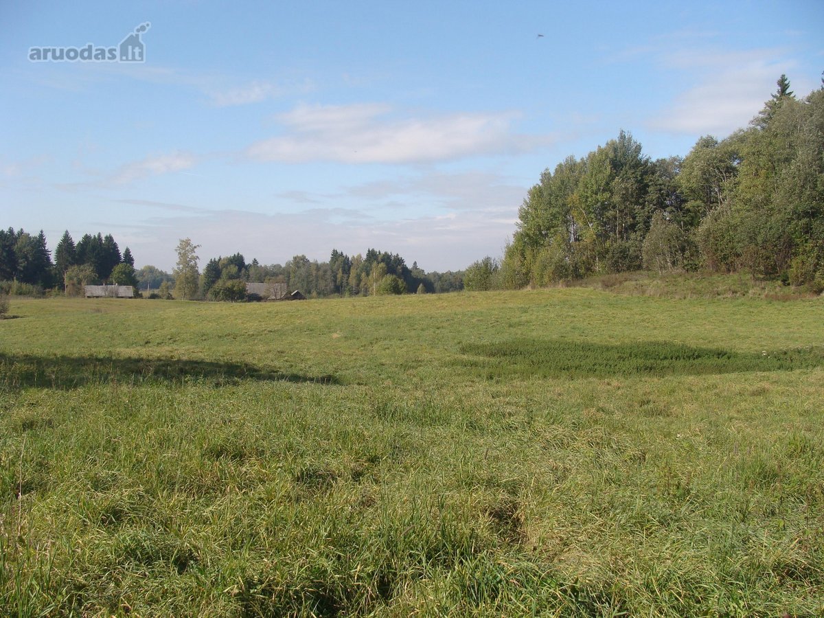 Lavaravos km., sklypas - sodyba (13.9 Ha ) - nuotraukos Nr. 2