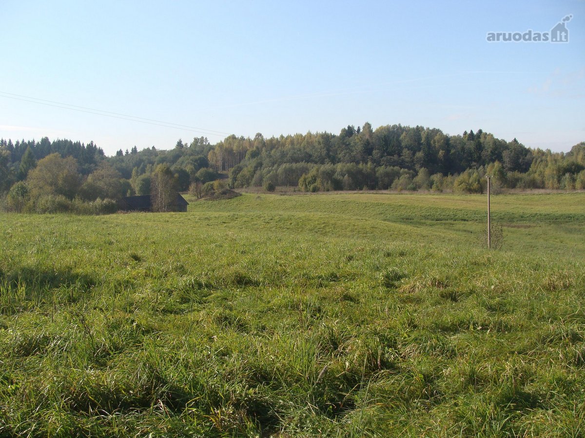 Lavaravos km., sklypas - sodyba (13.9 Ha ) - nuotraukos Nr. 4