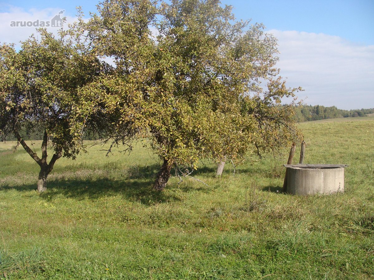 Lavaravos km., sklypas - sodyba (13.9 Ha ) - nuotraukos Nr. 5
