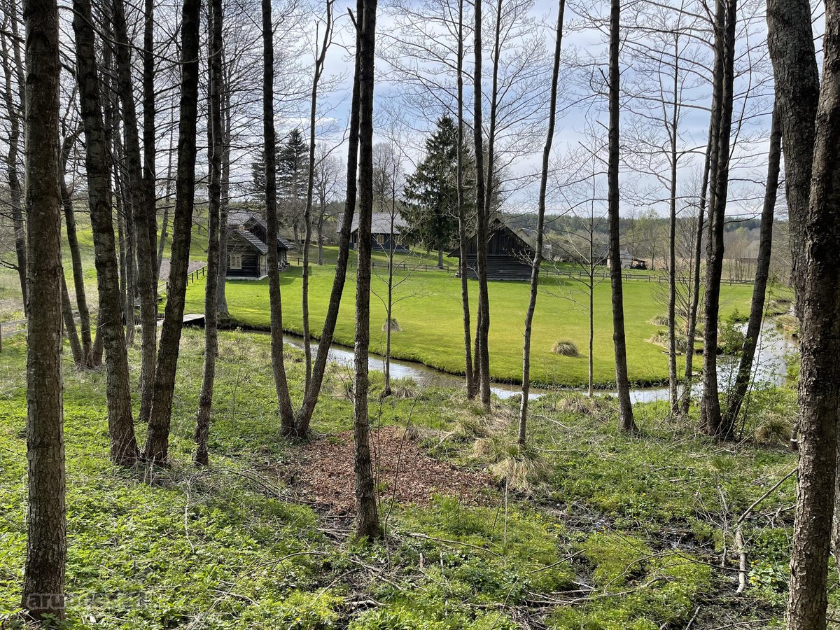 Sodybą sudaro trys žemės sklypai, bendras - nuotraukos Nr. 18