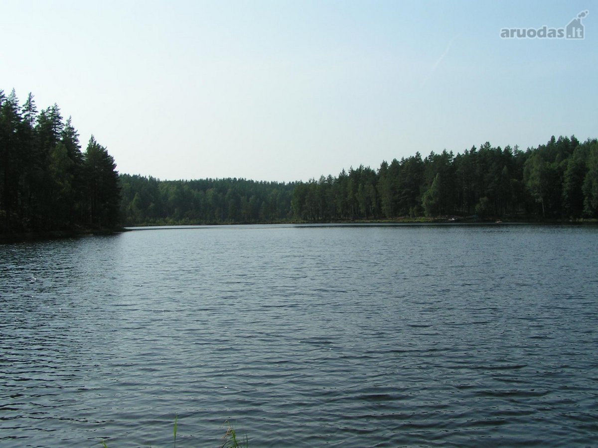 Parduodamas 5.6 ha ypatingo grožio miškų ūkio