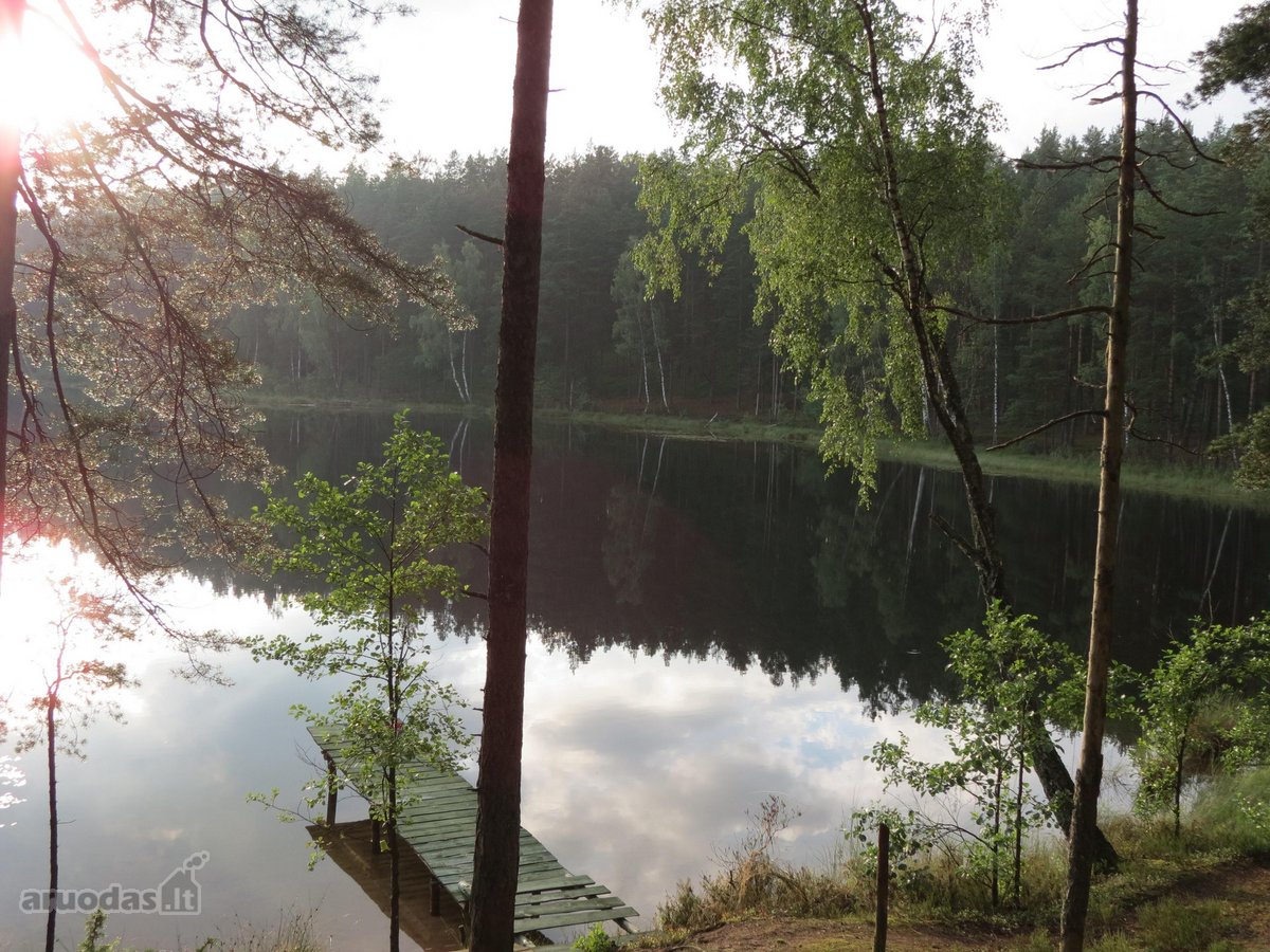 Parduodamas 5.6 ha ypatingo grožio miškų ūkio - nuotraukos Nr. 2