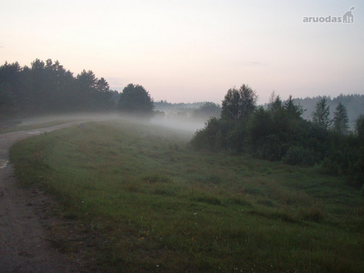 Parduodamas 5.6 ha ypatingo grožio miškų ūkio - nuotraukos Nr. 12