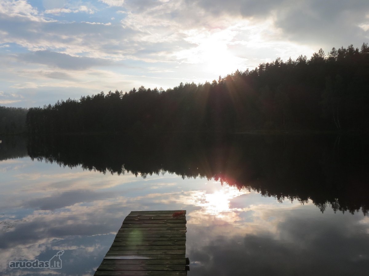 Parduodamas 5.6 ha ypatingo grožio miškų ūkio - nuotraukos Nr. 13