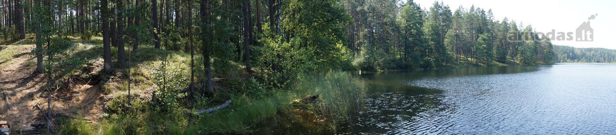 Parduodamas 5.6 ha ypatingo grožio miškų ūkio - nuotraukos Nr. 18