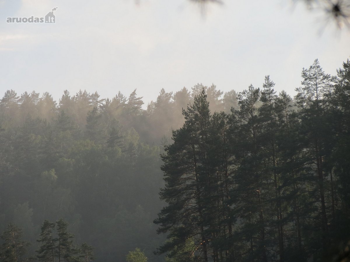 Parduodamas 5.6 ha ypatingo grožio miškų ūkio - nuotraukos Nr. 19