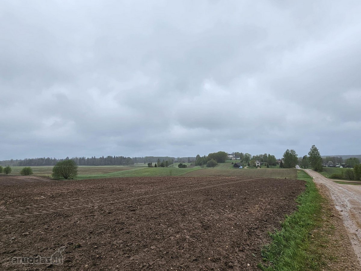 Parduodami 3 sklypai salia vienas kito - - nuotraukos Nr. 13