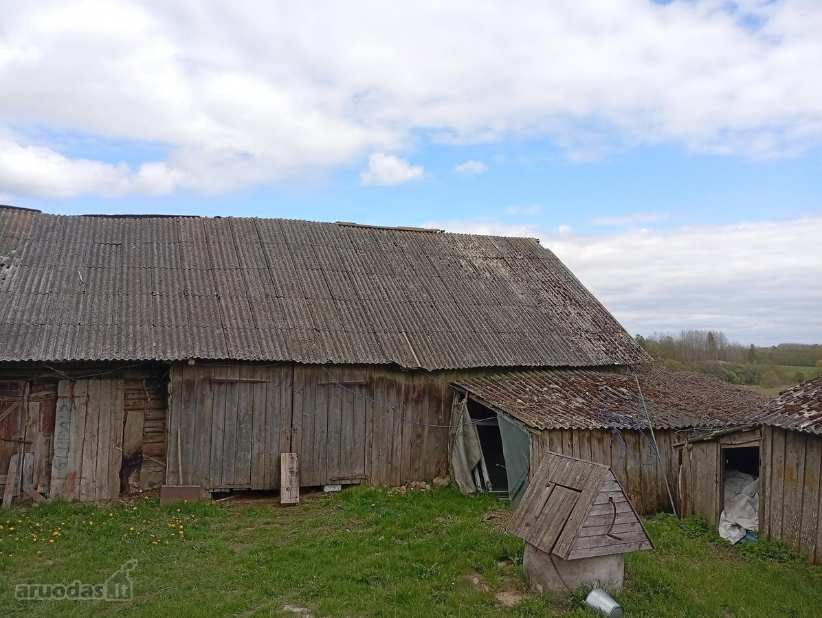 Parduodama sodyba su žemę ir miškas - nuotraukos Nr. 14
