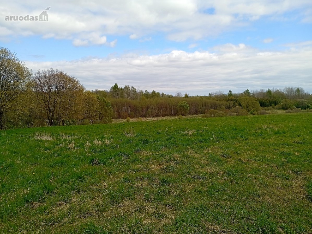 Parduodama sodyba su žemę ir miškas - nuotraukos Nr. 19