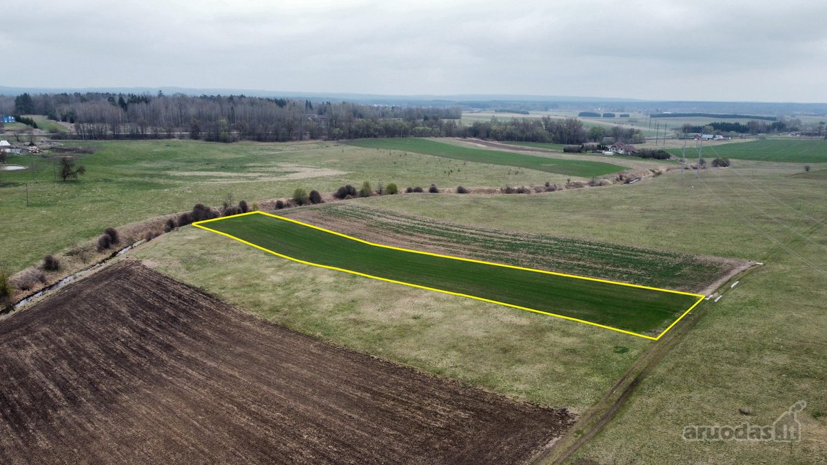 Parduodami du namų valdos sklypai už 20 000 - nuotraukos Nr. 13