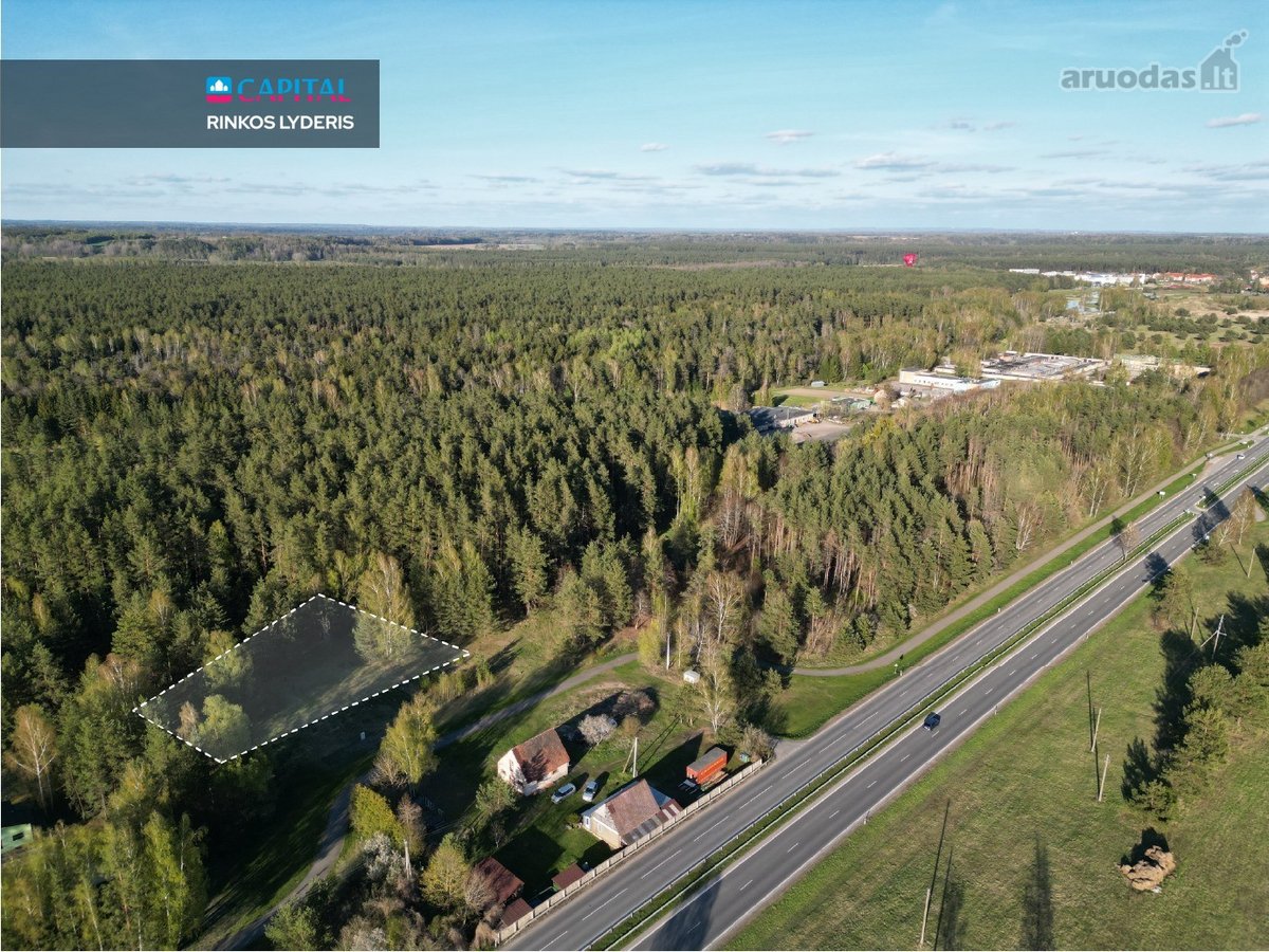 Parduodamas miško apsuptyje esantis 5.07 arų - nuotraukos Nr. 3