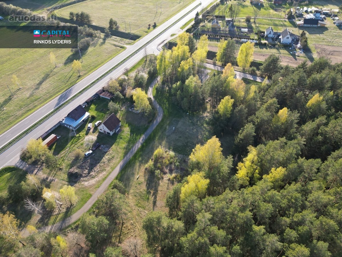 Parduodamas miško apsuptyje esantis 5.07 arų - nuotraukos Nr. 7