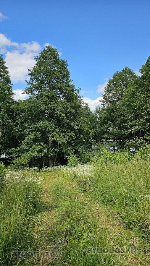 Parduodamas 2,58 ha žemės sklypas prie - nuotraukos Nr. 3