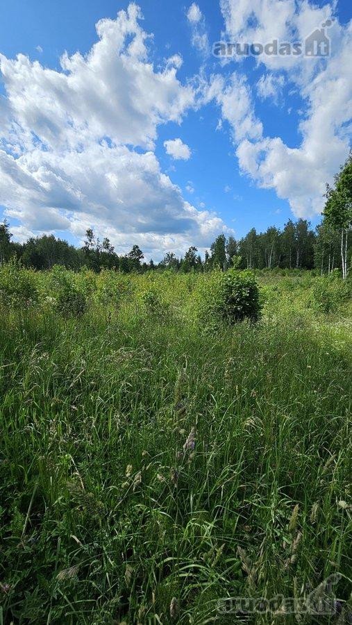 Parduodamas 2,58 ha žemės sklypas prie - nuotraukos Nr. 4