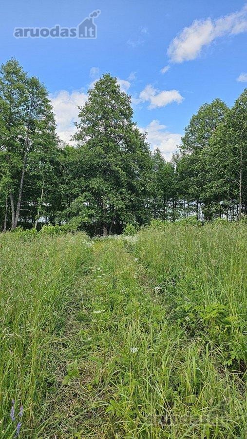 Parduodamas 2,58 ha žemės sklypas prie - nuotraukos Nr. 5