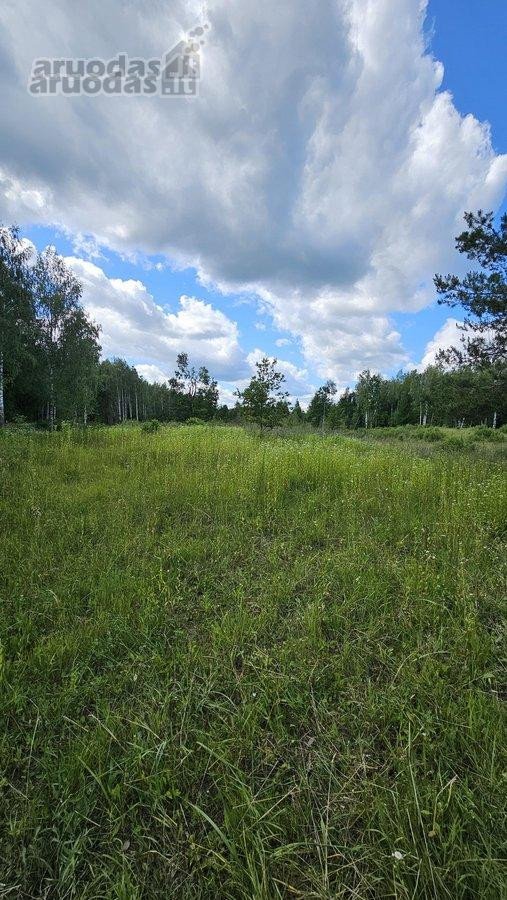 Parduodamas 2,58 ha žemės sklypas prie - nuotraukos Nr. 6