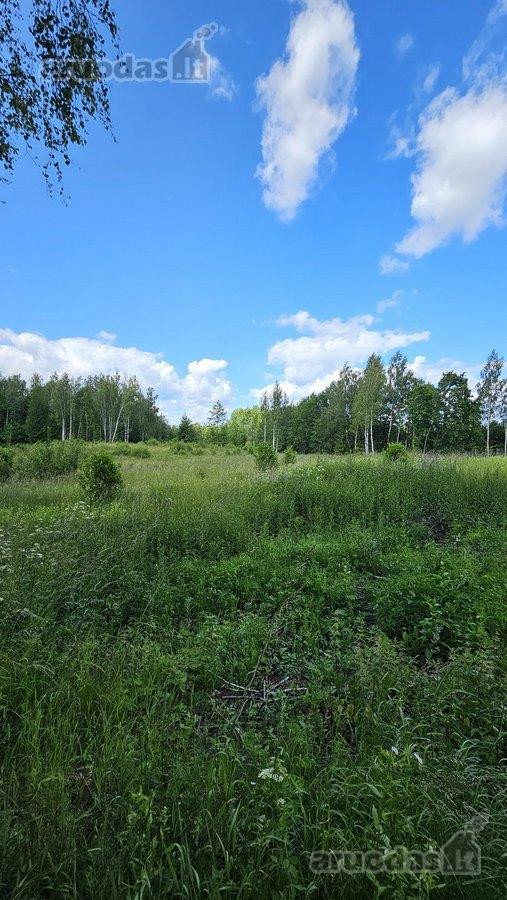 Parduodamas 2,58 ha žemės sklypas prie - nuotraukos Nr. 7