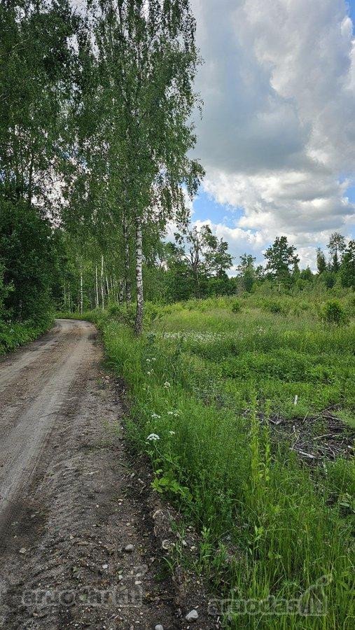 Parduodamas 2,58 ha žemės sklypas prie - nuotraukos Nr. 8