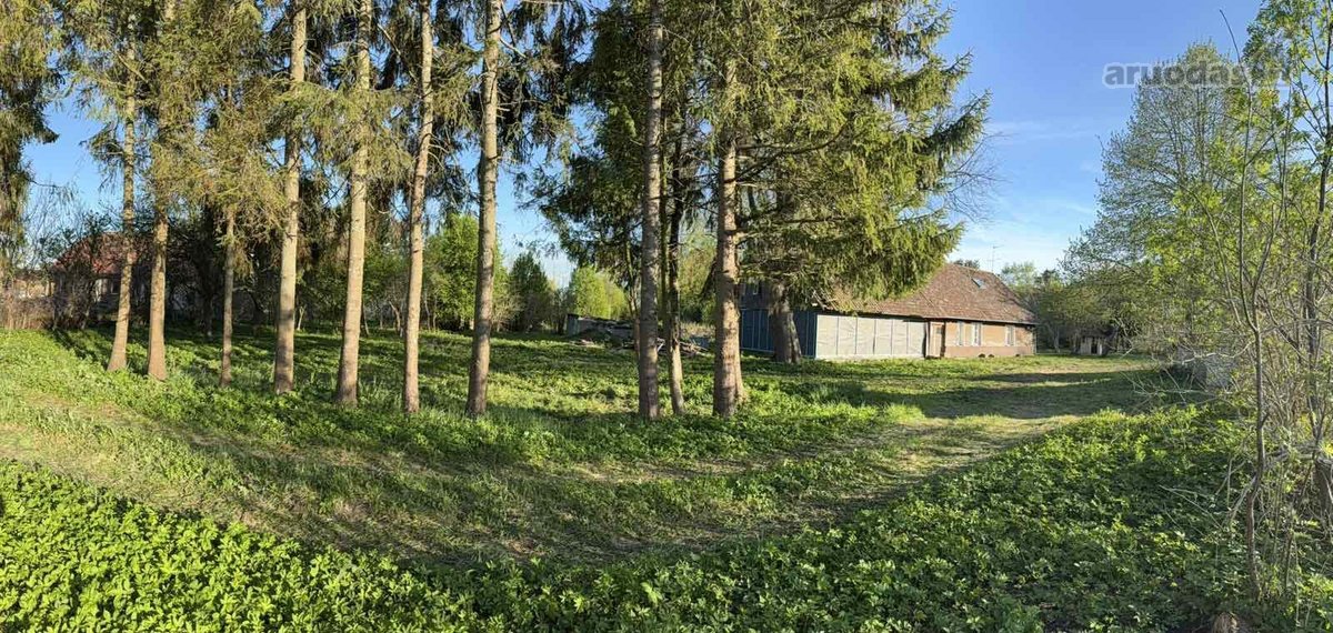 Parduodama erdvi sodyba Svencelėje. Sodybos - nuotraukos Nr. 9