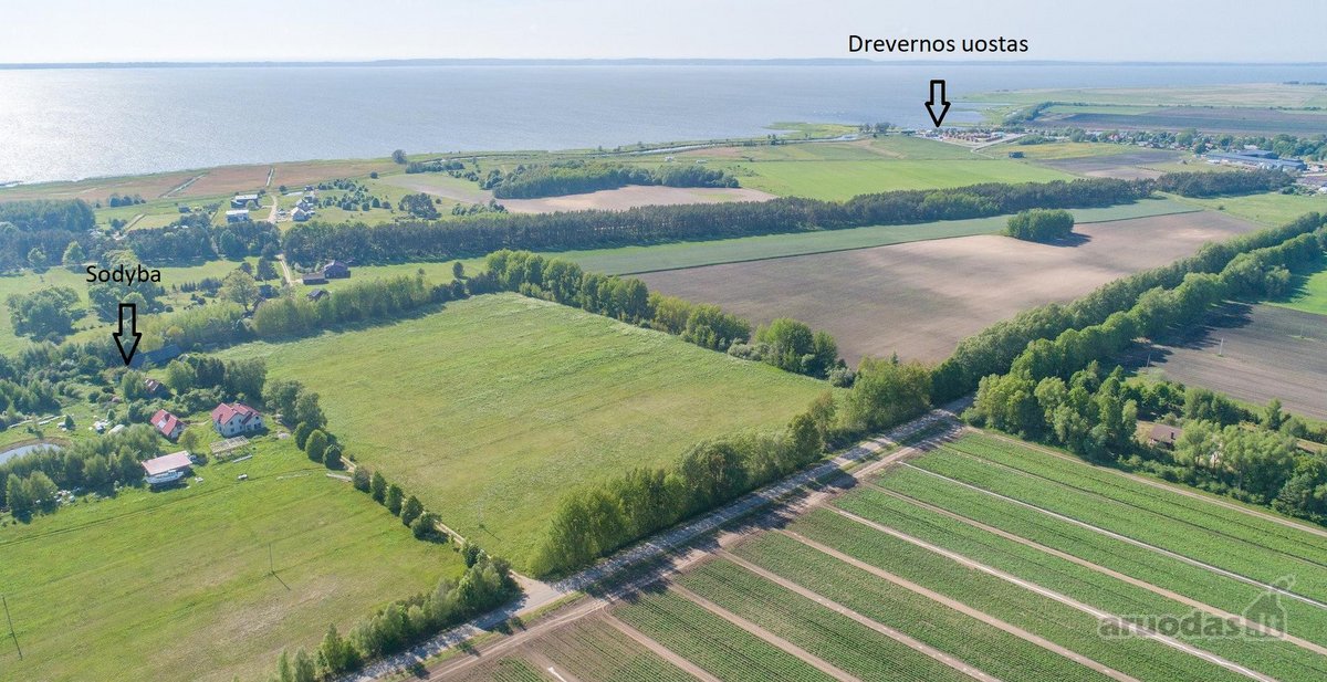 Parduodama erdvi sodyba Svencelėje. Sodybos - nuotraukos Nr. 2