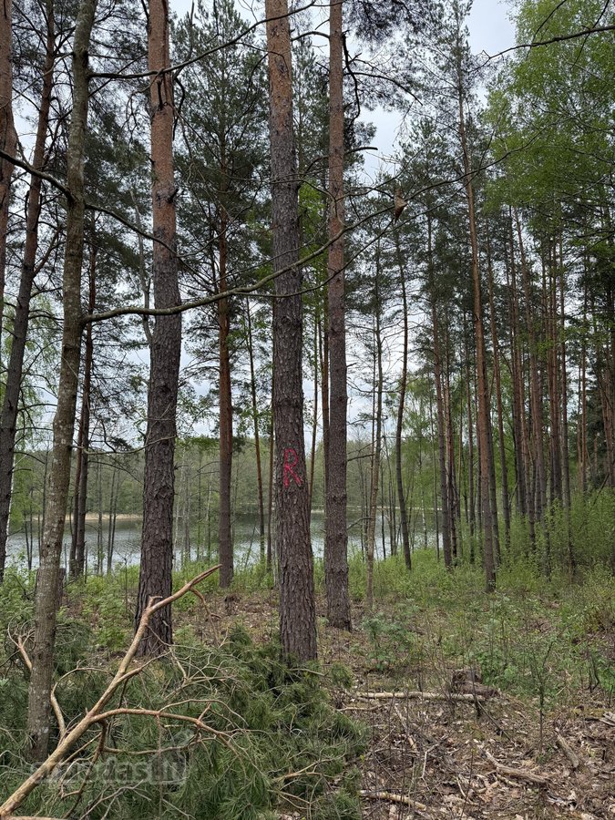 Parduodami žemės sklypai šalia Druskininkų