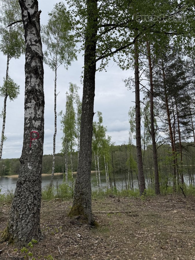 Parduodami žemės sklypai šalia Druskininkų - nuotraukos Nr. 2