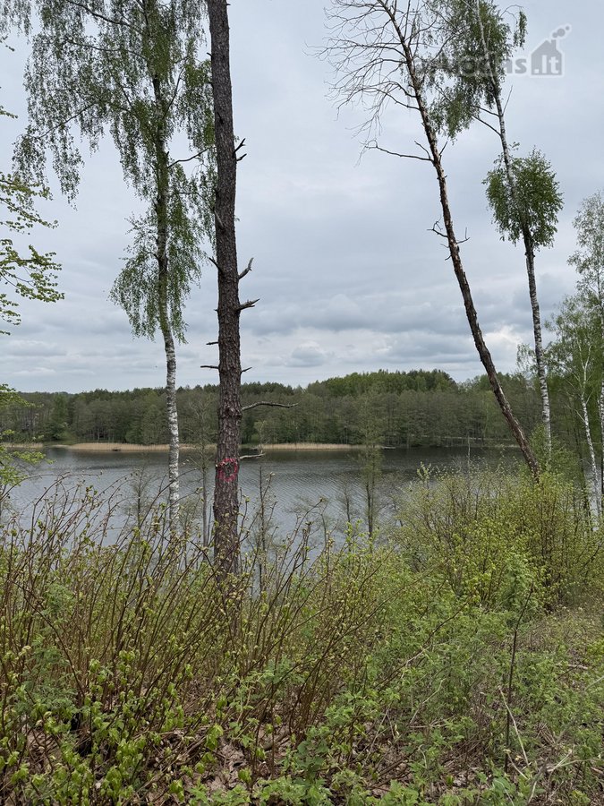 Parduodami žemės sklypai šalia Druskininkų - nuotraukos Nr. 3