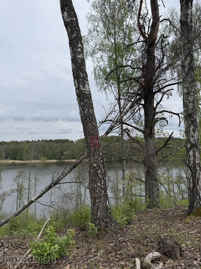 Parduodami žemės sklypai šalia Druskininkų - nuotraukos Nr. 4
