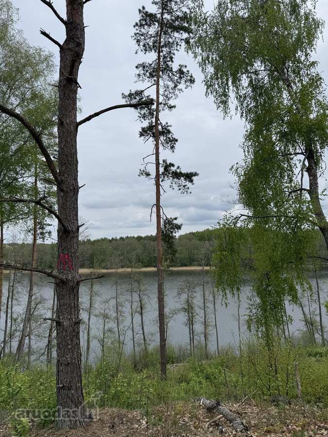 Parduodami žemės sklypai šalia Druskininkų - nuotraukos Nr. 5