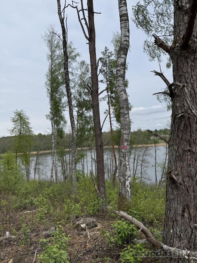 Parduodami žemės sklypai šalia Druskininkų - nuotraukos Nr. 6