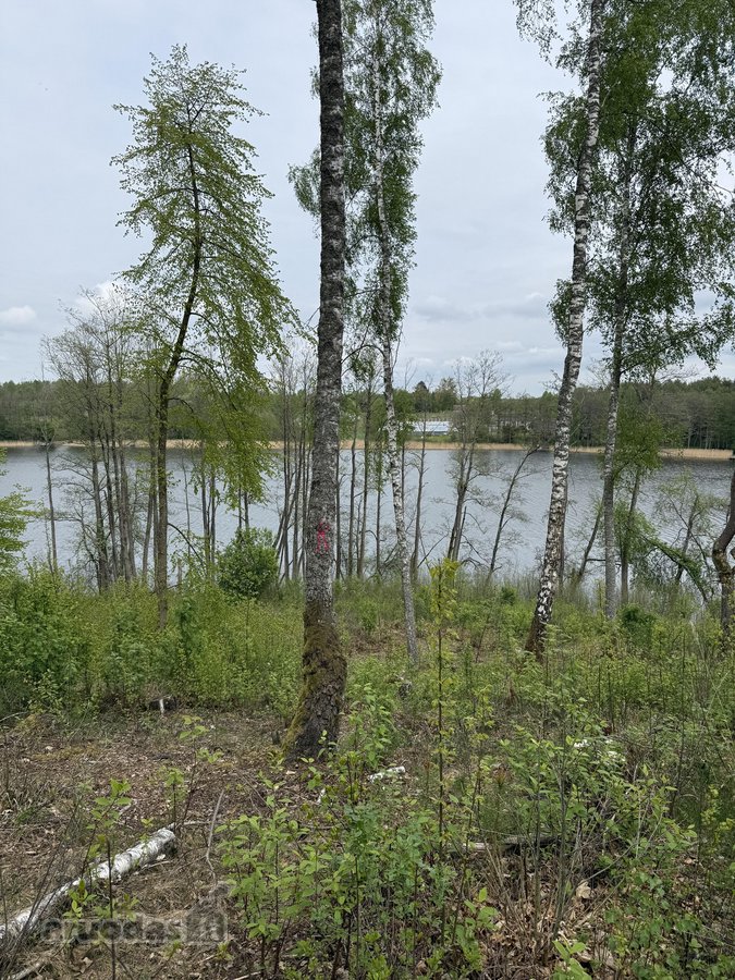 Parduodami žemės sklypai šalia Druskininkų - nuotraukos Nr. 7