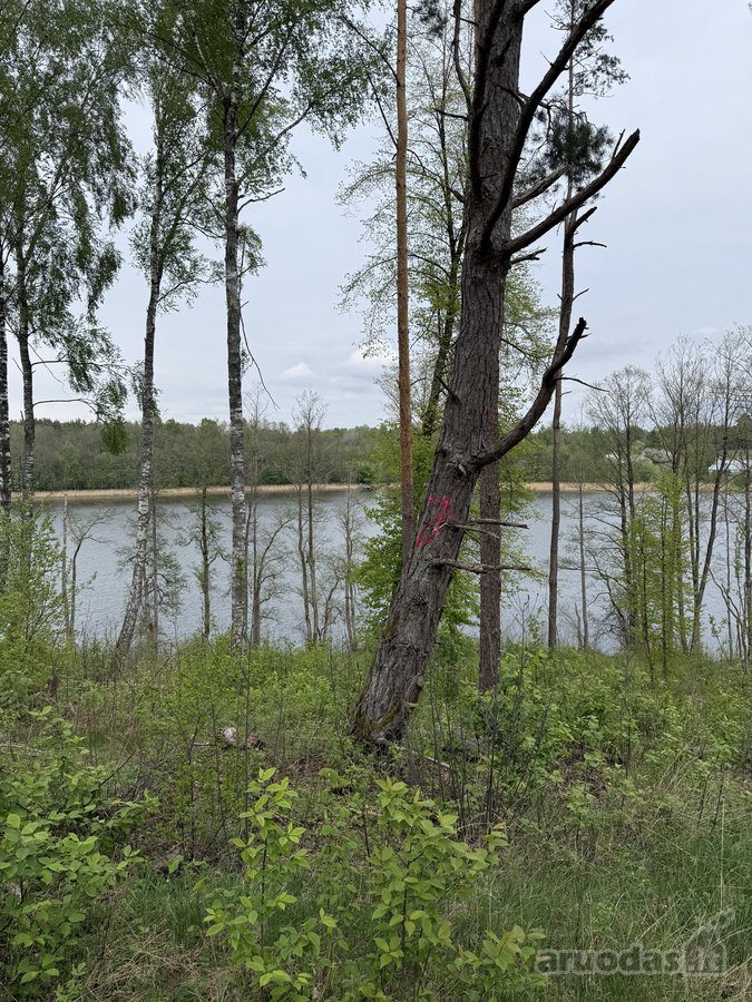 Parduodami žemės sklypai šalia Druskininkų - nuotraukos Nr. 8