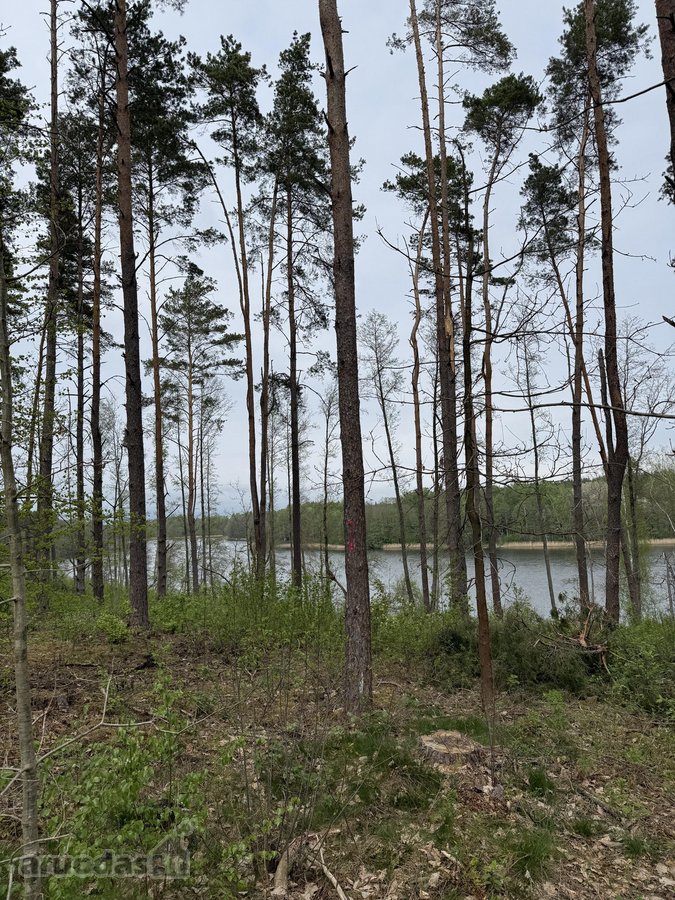 Parduodami žemės sklypai šalia Druskininkų - nuotraukos Nr. 10