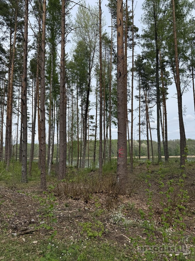 Parduodami žemės sklypai šalia Druskininkų - nuotraukos Nr. 14
