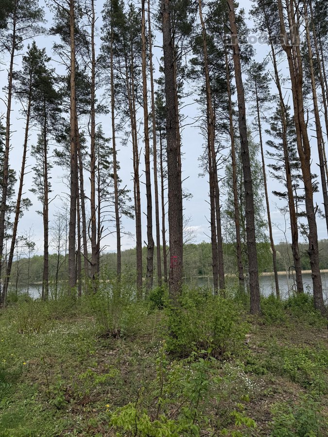 Parduodami žemės sklypai šalia Druskininkų - nuotraukos Nr. 15