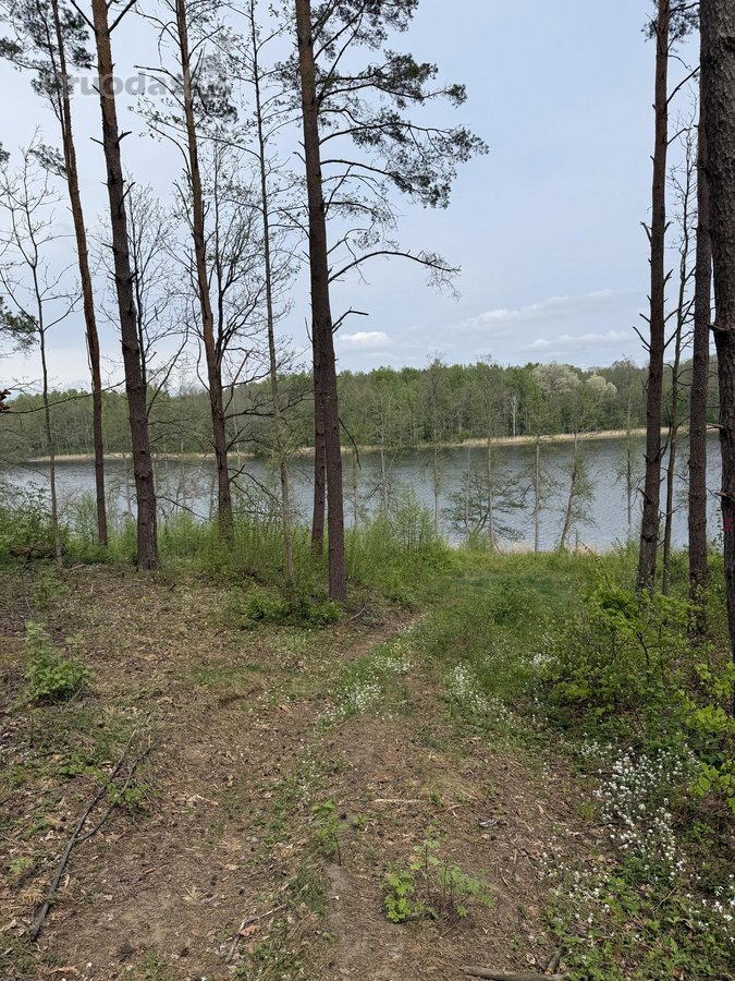 Parduodami žemės sklypai šalia Druskininkų - nuotraukos Nr. 16