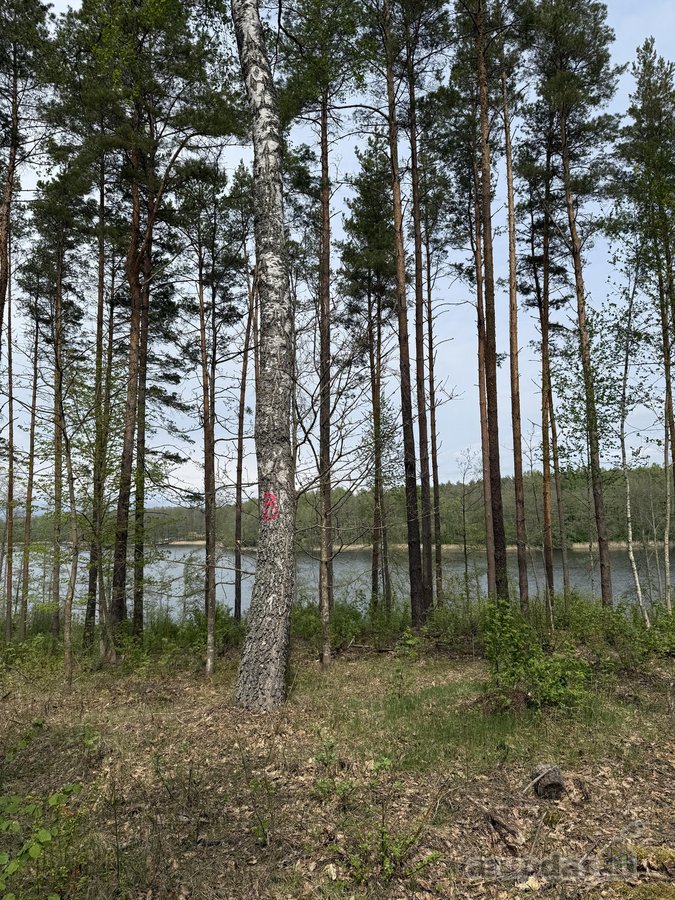 Parduodami žemės sklypai šalia Druskininkų - nuotraukos Nr. 20