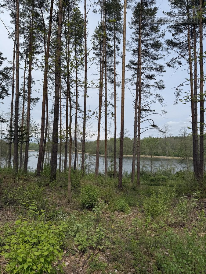 Parduodami žemės sklypai šalia Druskininkų - nuotraukos Nr. 21