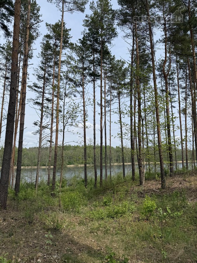 Parduodami žemės sklypai šalia Druskininkų - nuotraukos Nr. 22