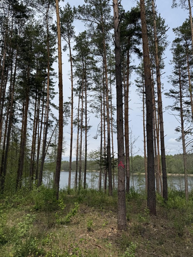 Parduodami žemės sklypai šalia Druskininkų - nuotraukos Nr. 23