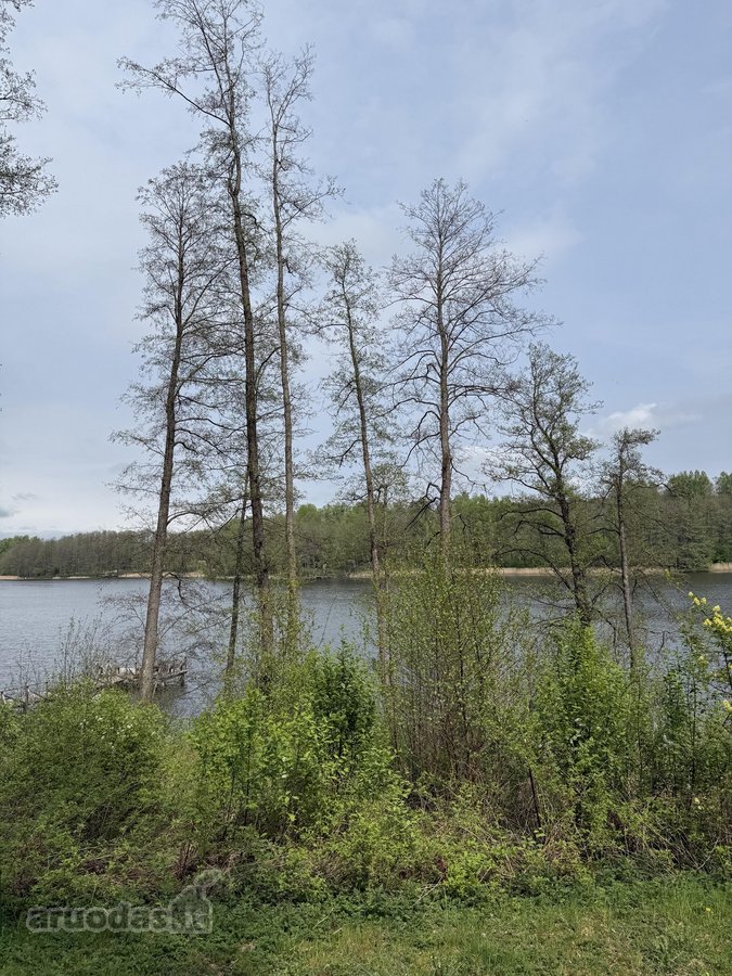 Parduodami žemės sklypai šalia Druskininkų - nuotraukos Nr. 25