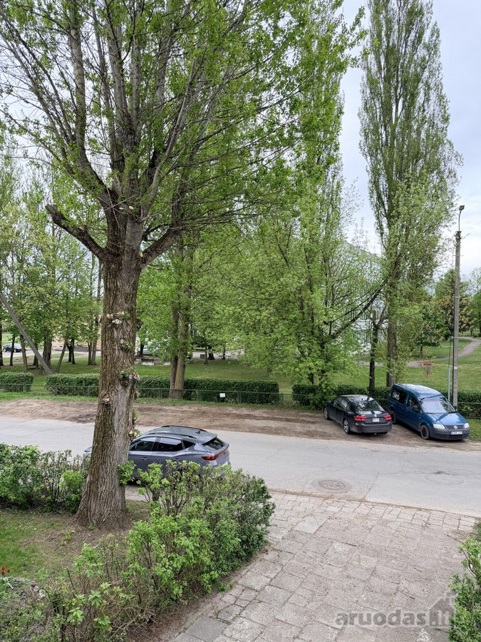 Adresas - Pušyno g., Panevėžys - nuotraukos Nr. 32