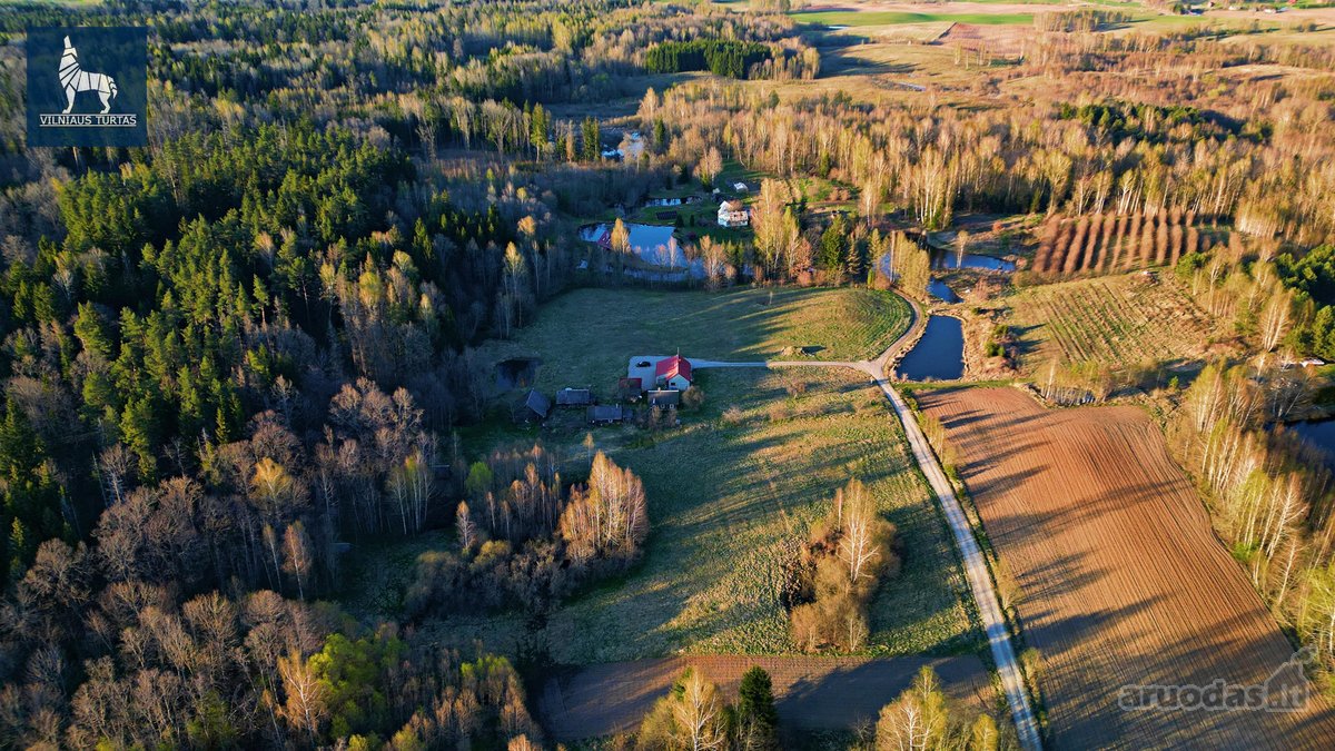 Parduodama sodyba su erdviu žemės sklypu - nuotraukos Nr. 4
