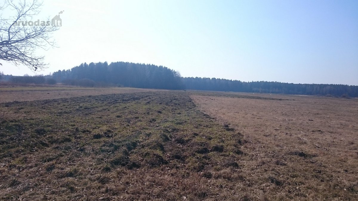 Parduodami šeši besiribojantys žemės sklypai: - nuotraukos Nr. 2